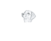 Mistie Hill Vineyard